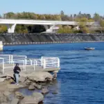 Mississippi River 2 blocks Fish or hangout